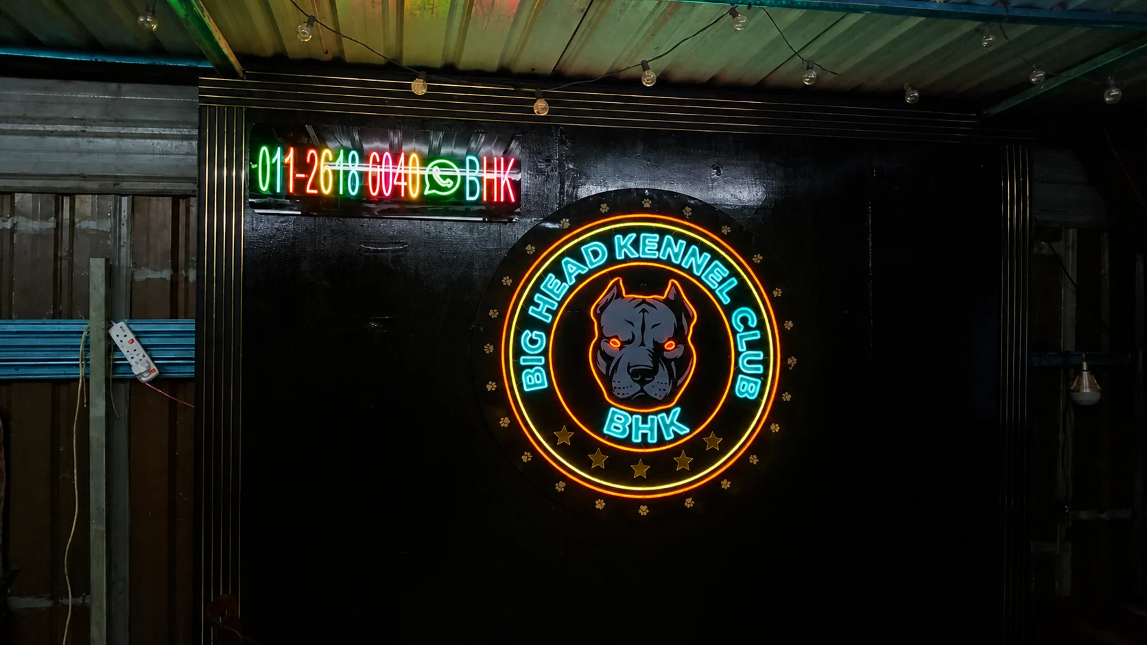Neon LED sign Big Head Kennel Club with Animal logo and multi color lighting for branding in Malaysia